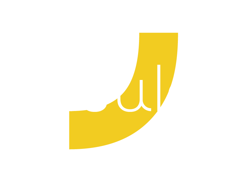 Insula Capital